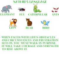 nature's language - nature's language - nature's language - nature's language - nature's language -